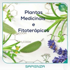 Plantas Medicinais e Fitoterápicos