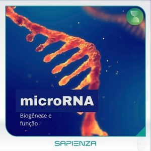 Aula microRNA: Biogênese e função